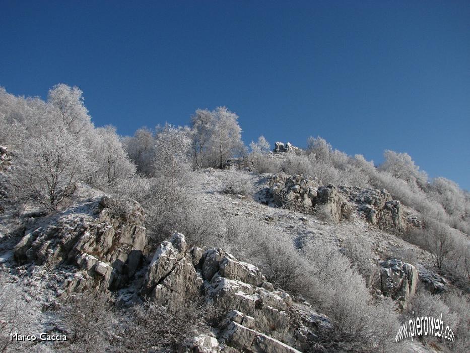 05_La neve sugli alberi.JPG